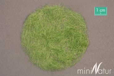 Grasfasern 6,5 mm,  Frühherbst
