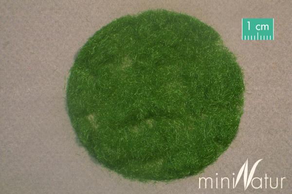 Grasfaser 2mm Sommer