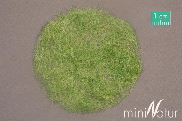 Grasfasern 6,5 mm,  Frühherbst