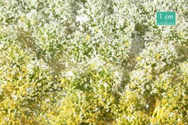 Grasbüschel mit Blüten , Frühling