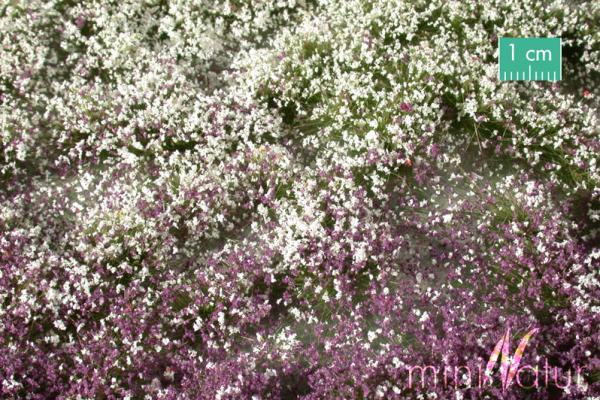Grasbüschel mit Blüten, Frühherbst